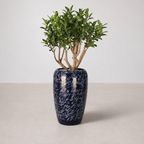 Pot Décoratif Élancé