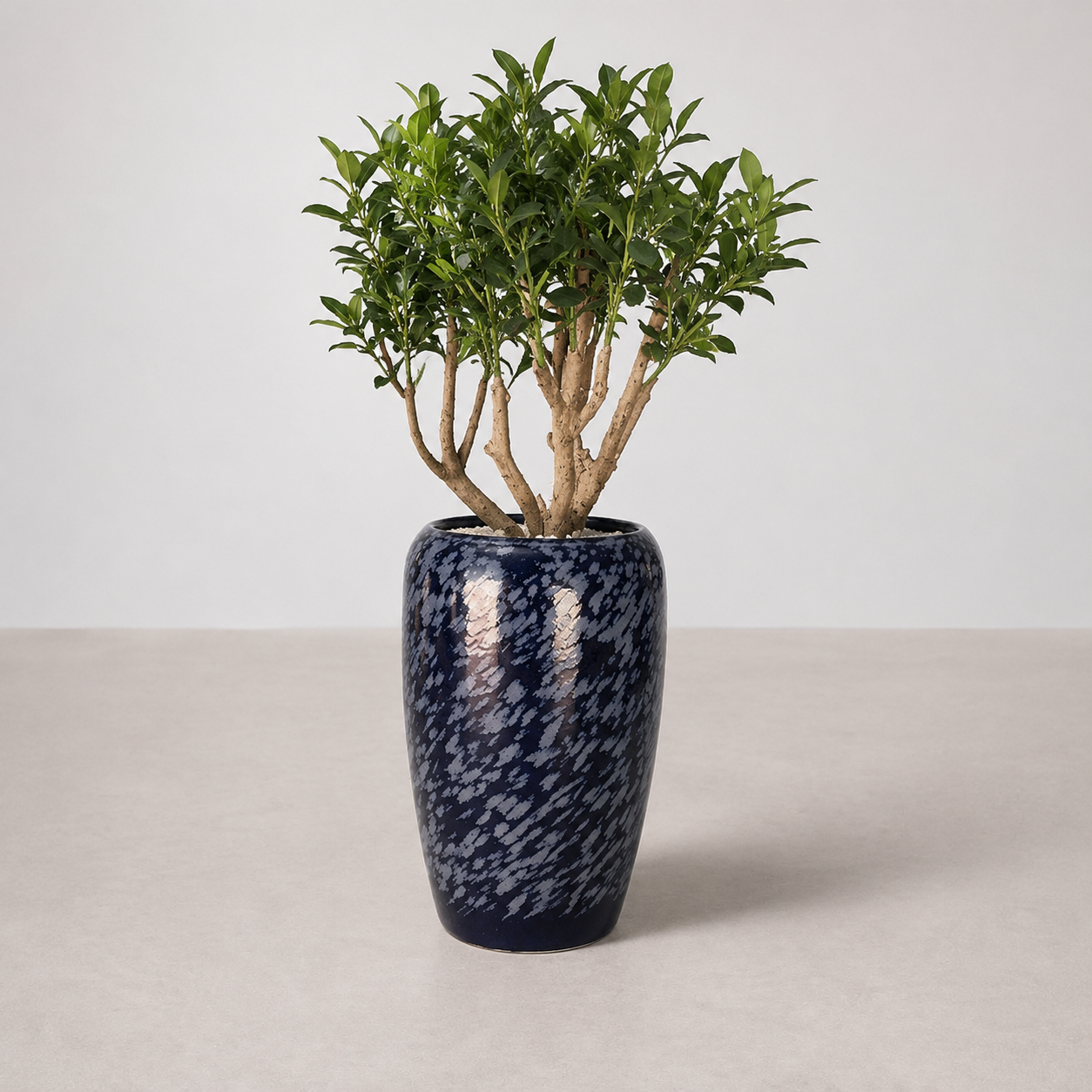 Pot Décoratif Élancé