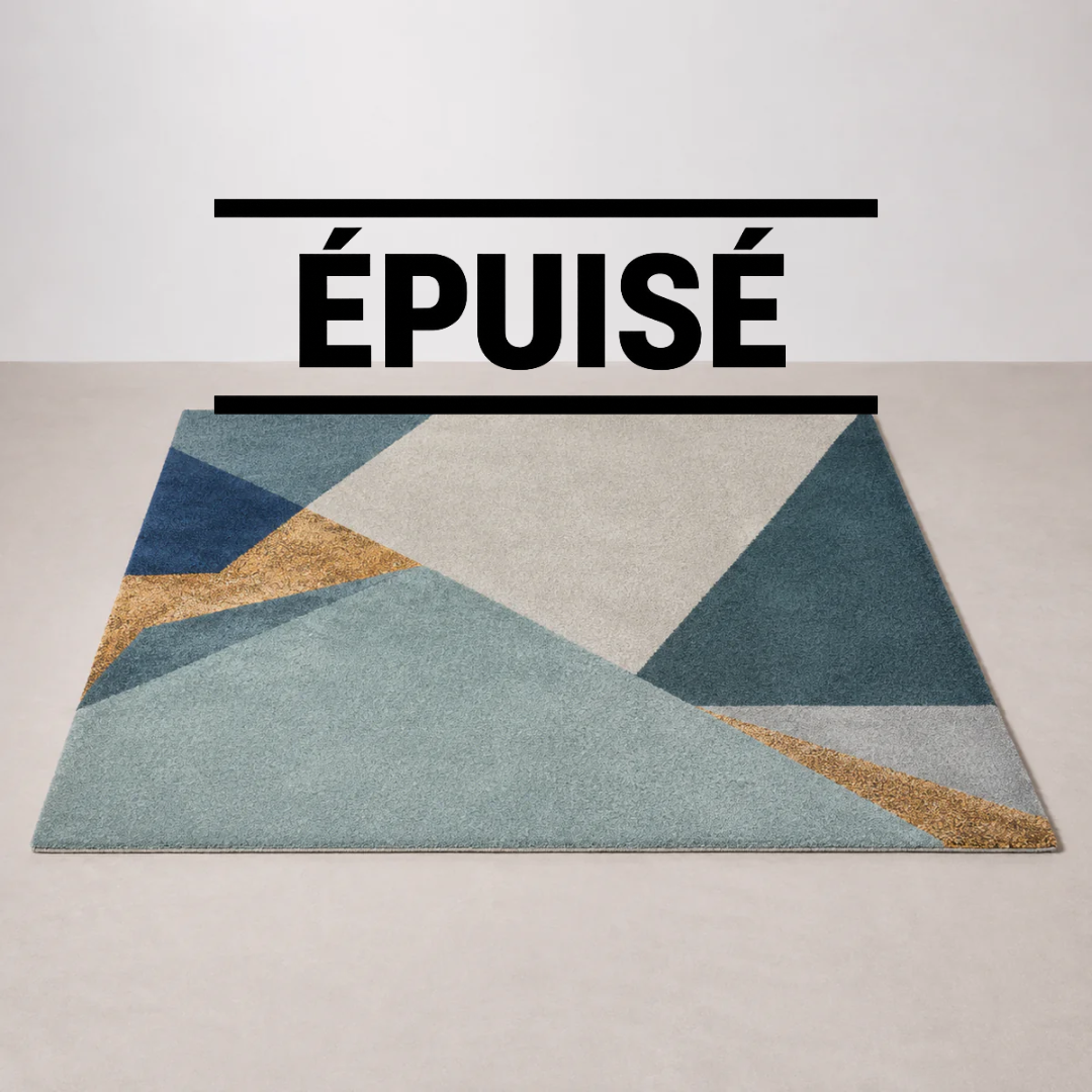 Grand Tapis Serge Lesage 300×240 cm