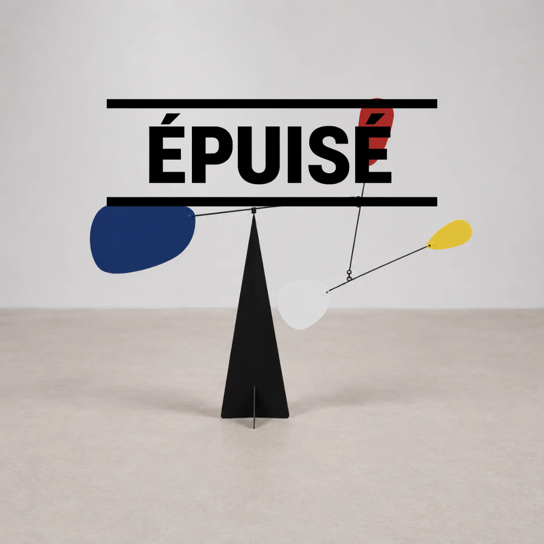 Mobile Décoratif Style Calder — Paris 48
