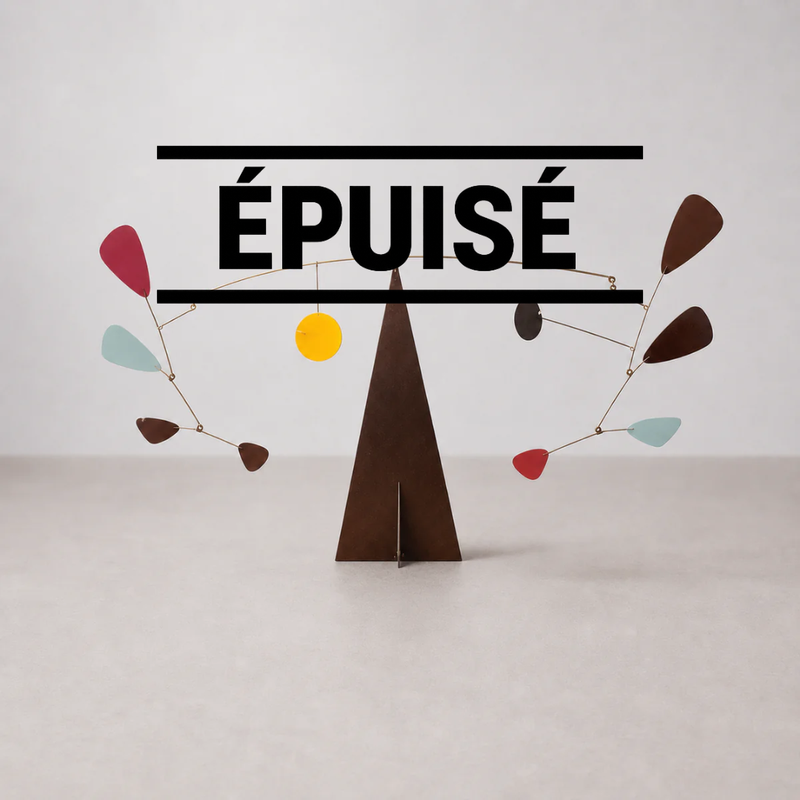 Mobile Suspendu Style Calder