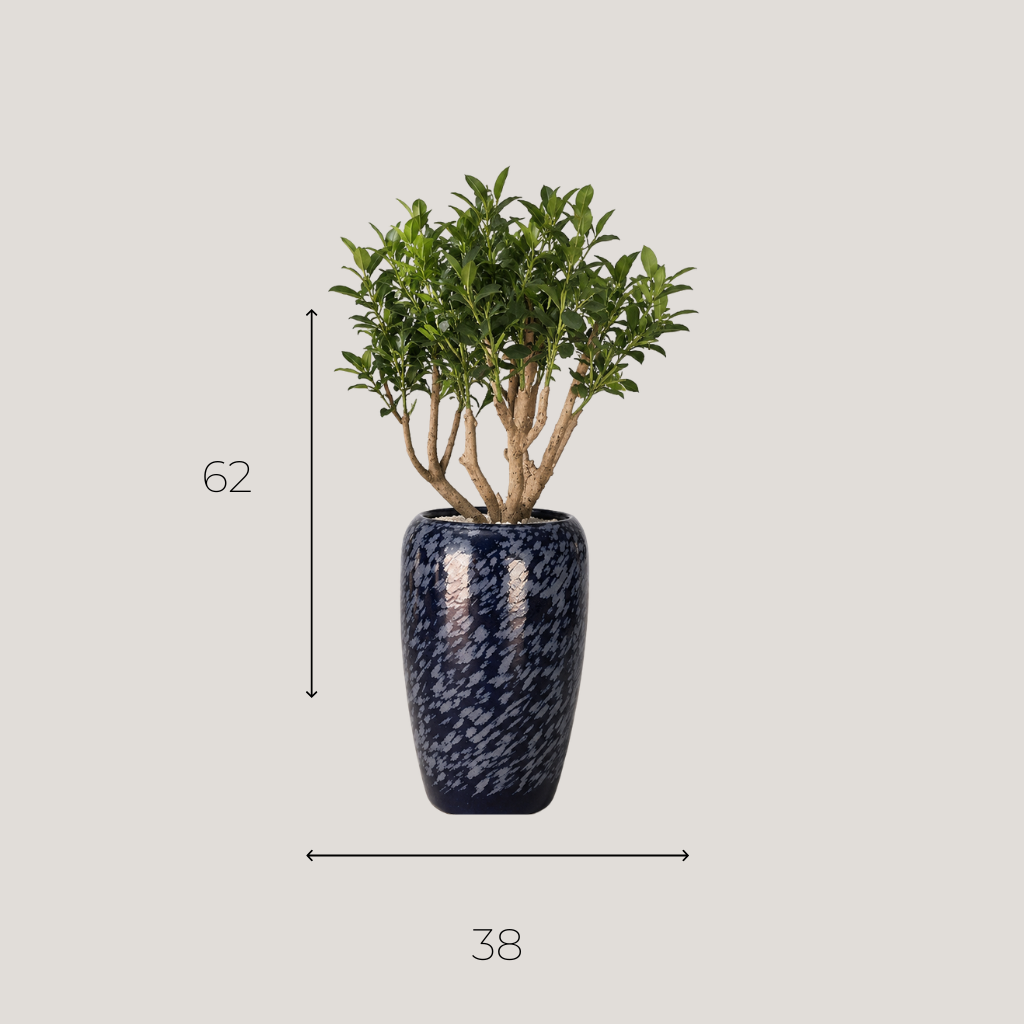 Pot Décoratif Élancé