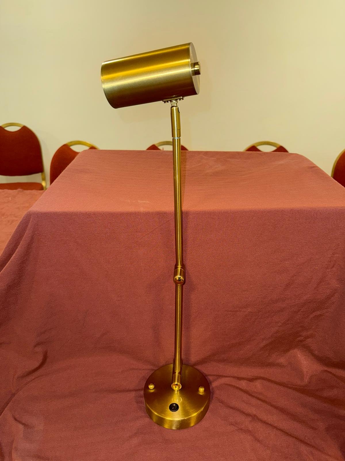 Aplique Dorado largo Alve iluminaria